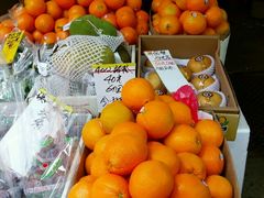 -油麻地果栏