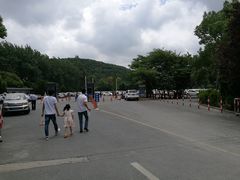 -上海佘山国家森林公园东门地面停车场