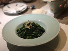瑶柱豌豆尖-肆月河豚·新淮扬(金融街店)