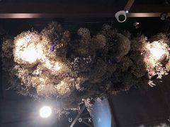 -快乐小羊·内蒙牛羊肉火锅(流花中心店)