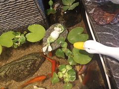 -前门后头老北京铜锅涮肉·京味菜·烤鸭(伊藤洋华堂店)