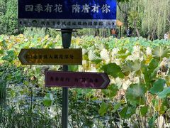 -洛阳市隋唐城遗址植物园