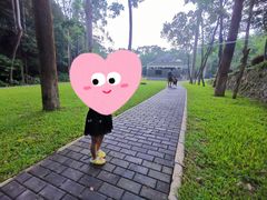 -火炉山森林公园