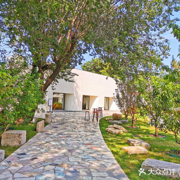 发呆一下午，出片300张