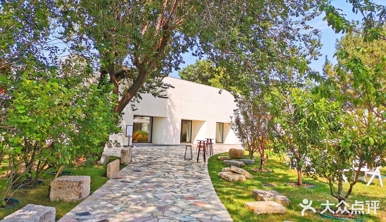 发呆一下午，出片300张