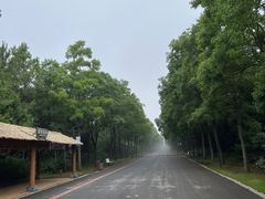 -江苏三台山国家森林公园