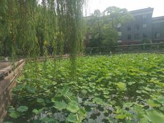 -四川大学(望江校区)