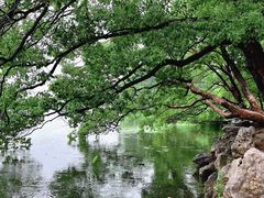 -东湖落雁景区