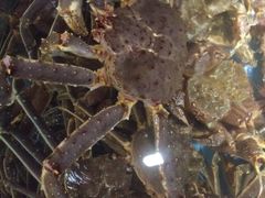 -蟹之国·精品蟹料理(极地店)