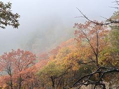 -吉林拉法山