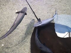 -鸿通城购物中心