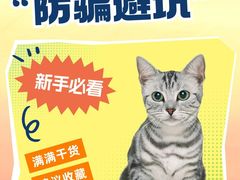 -lincat·猫舍(广州店)