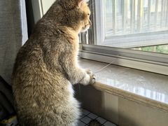 -达爱动物医院·犬猫分区·CT·复杂眼科(远洋山水分院)