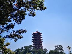 -缙云山景区