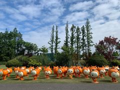 -上海长兴岛郊野公园