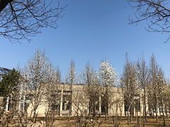 -石家庄市植物园