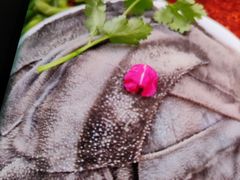 -桂花寨(北碚二店)