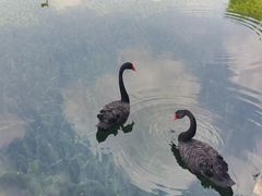 -荔湾湖公园