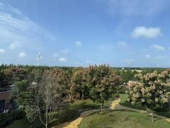 -黄海国家森林公园