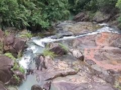 -广州白江湖森林公园