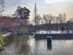 -四季酒店下午茶