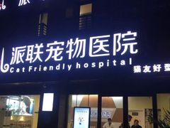 -派联宠物医院·24h·CT·异宠