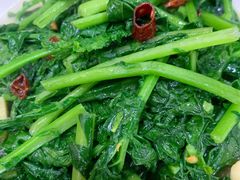 炝炒野菜-乡土特色.冷锅鱼.牦牛肉汤锅