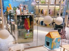 -momokira米努特·德文卷毛猫·棉花面纱犬