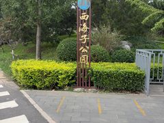 -西海子公园