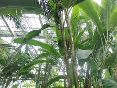 -北京植物园-展览温室