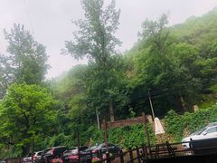 -Local泰莲庭(虹鳟鱼店)