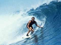 -吴淞炮台湾湿地森林公园烧烤区