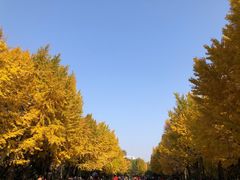 -玲珑塔公园