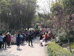 -重庆彩云湖湿地公园
