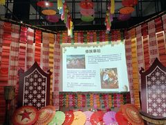 -西双版纳原始森林公园