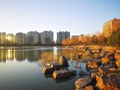 -南翔镇银翔湖公园