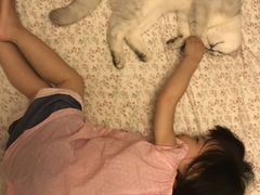 -喵zoo家庭繁育猫舍(尖东智能花园店)