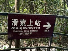 -呀诺达热带雨林