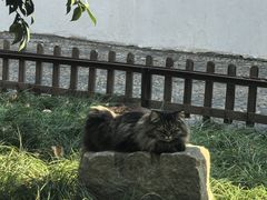 -西园寺素食(西园弄戒幢律寺店)