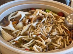-珍品轩鲜菌火锅(眉山店)