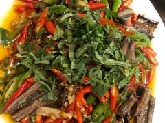 鲜椒鳝鱼-飞虹鱼馆(春华路店)