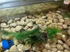 -V-ONE西雅图海鲜自助餐厅(仓山万达广场店)