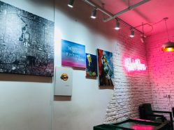 -HAIR PORN STUDIO