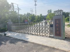 -云岗森林公园