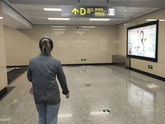 -杨柳河(地铁站)