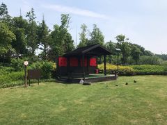 -田园东方蜜桃村的田野营地