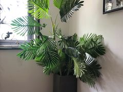 -Siam泰餐厅(水上公园店)