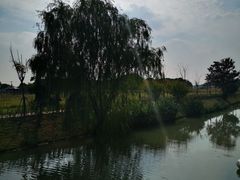 -嘉北郊野公园