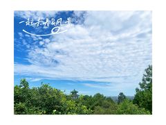 -北京西山国家森林公园