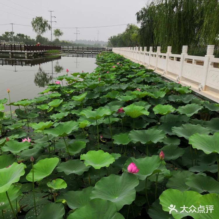 廊坊御龙河公园在廊坊市南端，西昌路两侧沿河公园